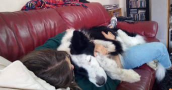 lilou pet sitter à NANTERRE 92000_2