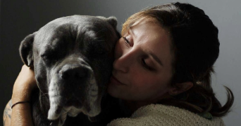 emma pet sitter à ST CYPRIEN 24220_0
