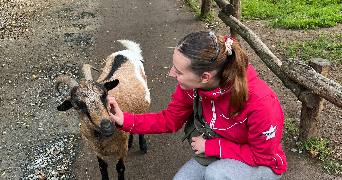 anaïs pet sitter à ST BRIEUC 22000_1