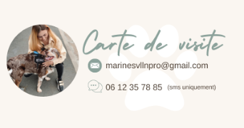 marine pet sitter à PESSAC 33600_4