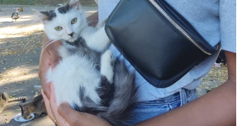 tracy pet sitter à Marseille 13001_1