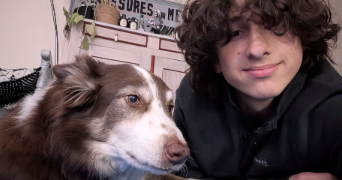 ellis pet sitter à TOULOUSE 31300_1