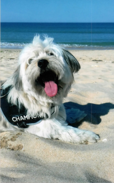 emma  pet sitter à Bordeaux 33440_7
