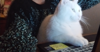 marilona cat sitter à LES LILAS 93260_8
