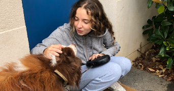 shana pet sitter à BRIE COMTE ROBERT 77170_8