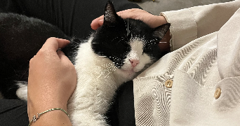 solène pet sitter à FRANCHEVILLE 69340_3