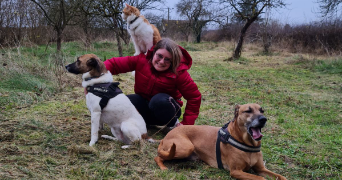 alexandra pet sitter à VAUMORT 89320_0