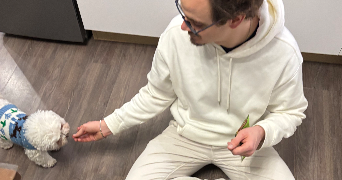 ludovic pet sitter à VELIZY VILLACOUBLAY 78140_1