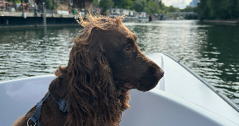 jade pet sitter à PARIS 17 75017_1