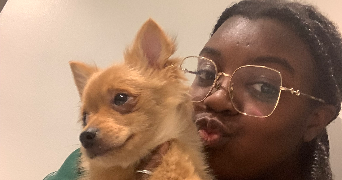 maëlle pet sitter à EPINAY SUR ORGE 91360_2