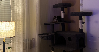 lisa pet sitter à YUTZ 57970_1