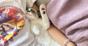pauline pet sitter à CHAVENAY 78450_5