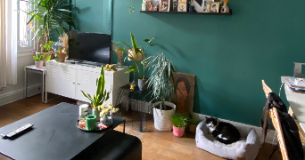 valentine cat sitter à PARIS 18 75018_4