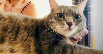 séverine  pet sitter à 59000 Lille 59000_9