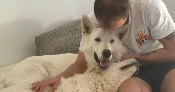 gabin dog sitter à VATRY 51320