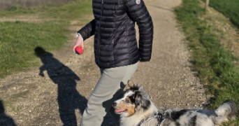 thais pet sitter à DIJON 21000_1