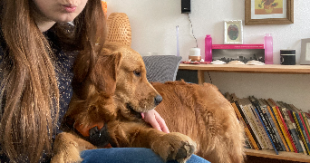 sandy pet sitter à ROSNY SOUS BOIS 93110_2