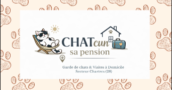 ophelie cat sitter à CHARTRES 28000_1