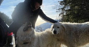 estelle pet sitter à LILLE 59000_1