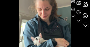 clara pet sitter à GUYANCOURT 78280_0