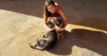 andreia dog sitter à MAROLLES EN HUREPOIX 91630_0