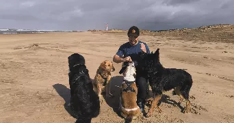 arthur dog sitter à ST GEORGES DE DIDONNE 17110