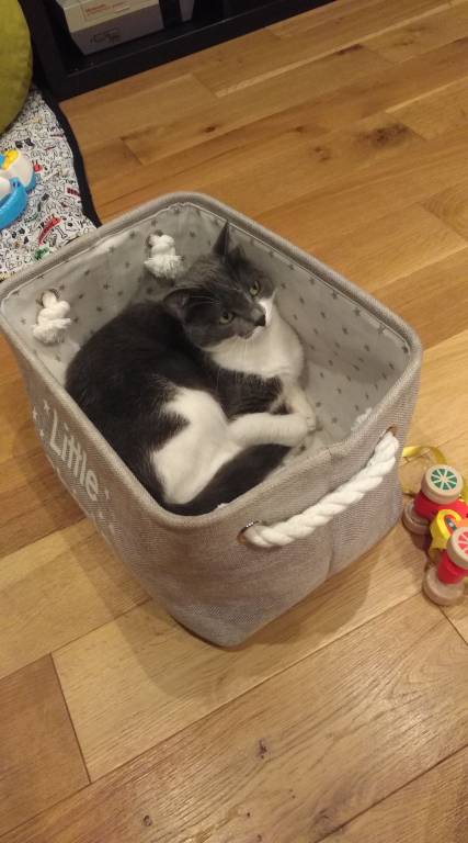 alexandra pet sitter à Méry-sur-Oise 95540_0