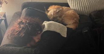 lise pet sitter à SARTROUVILLE 78500_1