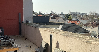 florence pet sitter à FLEURY LES AUBRAIS 45400_3