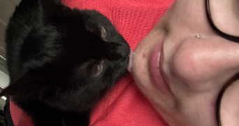 charlie cat sitter à LILLE 59260_2