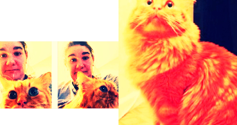 marielle pet sitter à TOULOUSE 31200_8