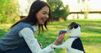mallorie pet sitter à TOULOUSE 31200_5