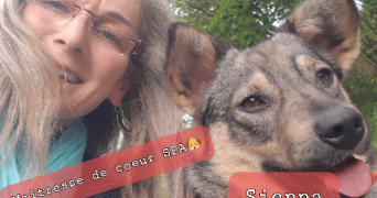 angela pet sitter à STRASBOURG 67200_10