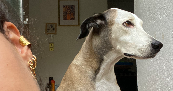 miriam pet sitter à BORDEAUX 33000_4
