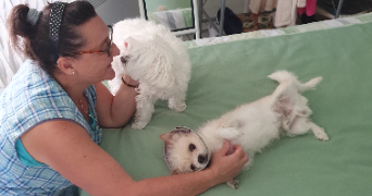 louise pet sitter à Vic-en-Bigorre 65500_2