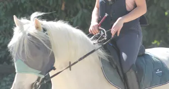 clara pet sitter à MONTBONNOT ST MARTIN 38330