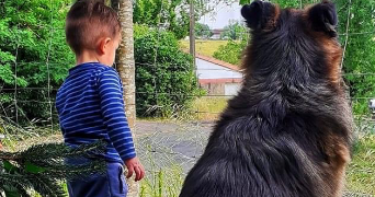 charlène pet sitter à LA REOLE 33190_1