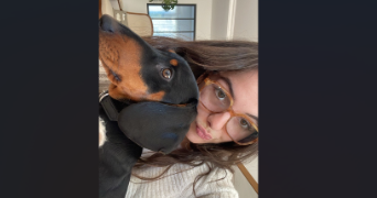 lilou pet sitter à PARIS 03 75003_2