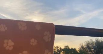 axelle pet sitter à AXAT 11140