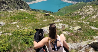 charlotte pet sitter à LE PONT DE CLAIX 38800_1