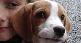 julie pet sitter à POITIERS 86000_3
