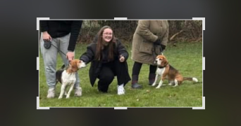 lucie pet sitter à LE HAVRE 76620_0