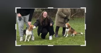 lucie pet sitter à LE HAVRE 76620