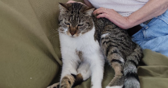 marie-hélène pet sitter à CUGNAUX 31270_6