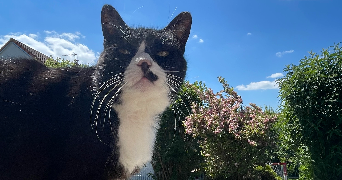 caroline pet sitter à BESANCON 25000_1