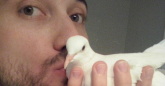 mickaël pet sitter à MARSEILLE 11 13011_4
