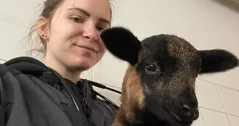 louise pet sitter à LES ANGLES 30133