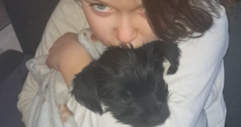 precilia pet sitter à TOMBLAINE 54510_2
