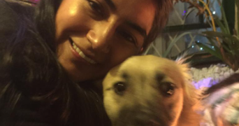 angie pet sitter à GAGNY 93220_0