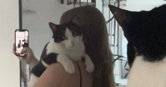 camille pet sitter à FONTENAY EN PARISIS 95190_0